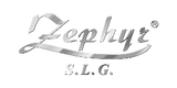 Прахосмукачка с контейнер Zephyr ZP10001AX